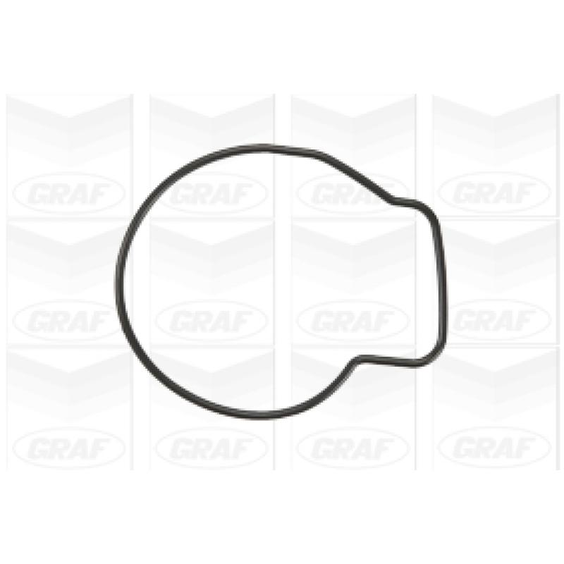 Pompe à eau GRAF PA876 - Visuel 1