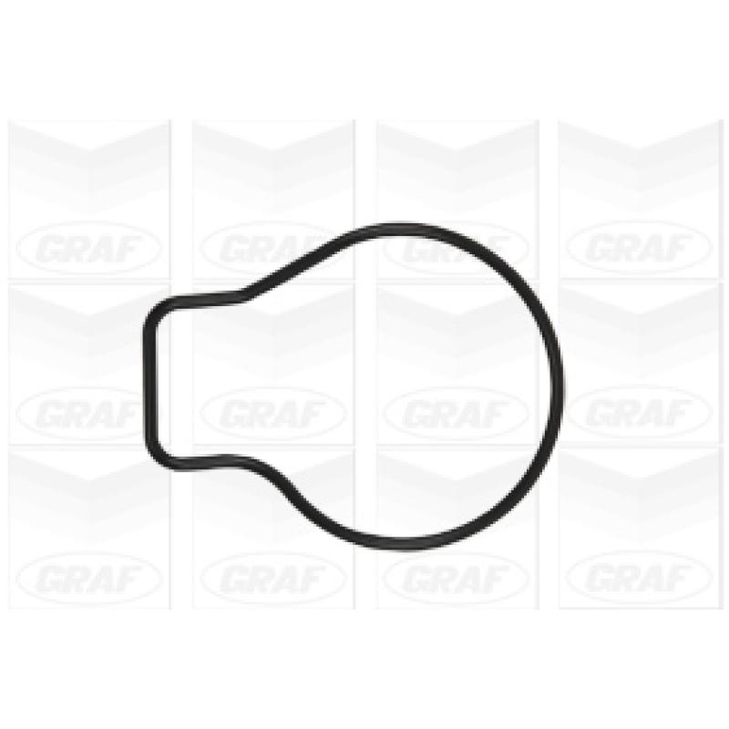 Pompe à eau GRAF PA897 - Visuel 1