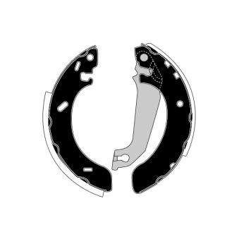 Jeu de mâchoires de frein RAICAM