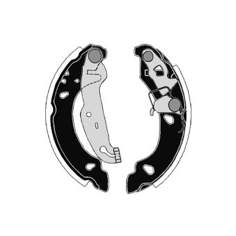 Jeu de mâchoires de frein RAICAM