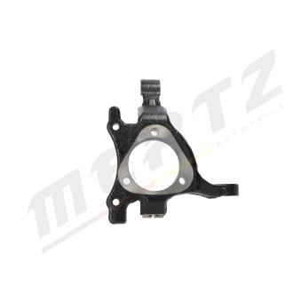 Fusée d'essieu, suspension de roue avant gauche MERTZ