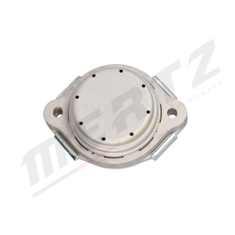 Support moteur MERTZ M-S4956 - Visuel 3