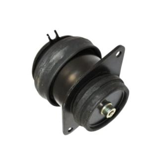 Support moteur arrière droit GOOM