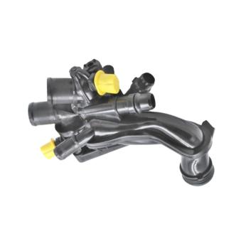 Boîtier du thermostat GOOM