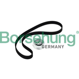 Kit de distribution Borsehung B10219