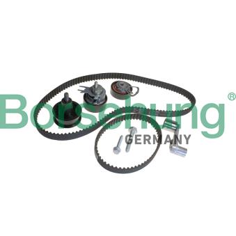 Kit de distribution Borsehung B10227