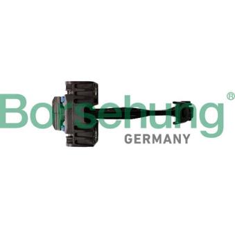 Cale-porte Borsehung