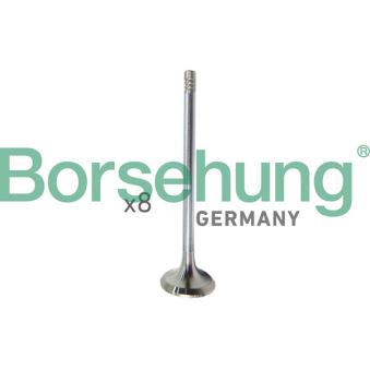 Soupape d'admission Borsehung B10322