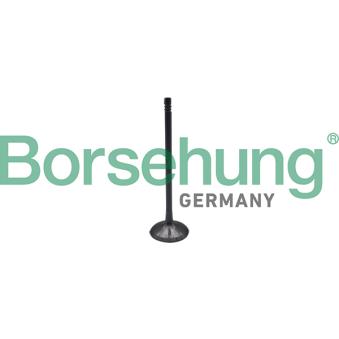 Soupape d'admission Borsehung B10323