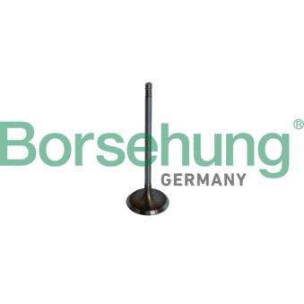 Soupape d'admission Borsehung B10325
