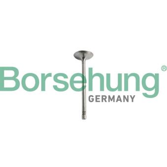 Soupape d'admission Borsehung B10351