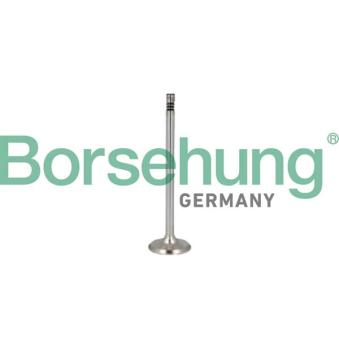 Soupape d'émission Borsehung B10352