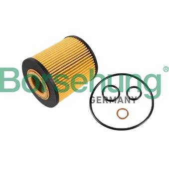 Filtre à huile Borsehung B10440
