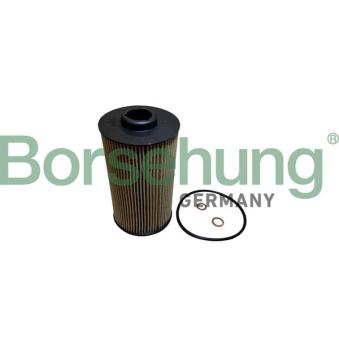 Filtre à huile Borsehung B10442
