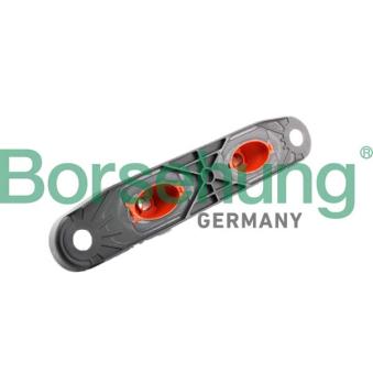 Cache batterie Borsehung B10996
