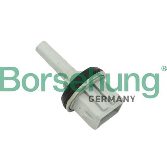 Capteur, température intérieur Borsehung