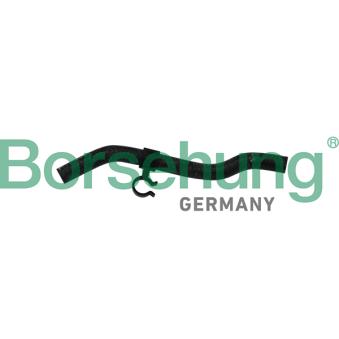 Durite de radiateur Borsehung B11975