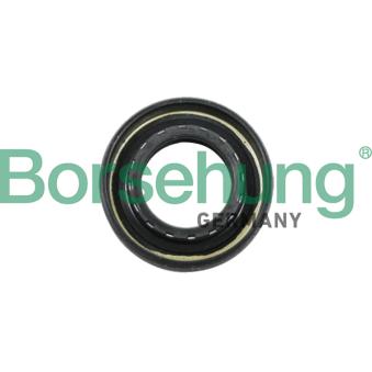 Bague d'étanchéité, boîte de vitesse manuel Borsehung B12194
