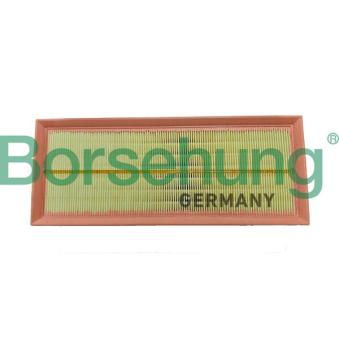 Filtre à air Borsehung