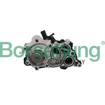 Pompe à eau, refroidissement du moteur Borsehung B12692