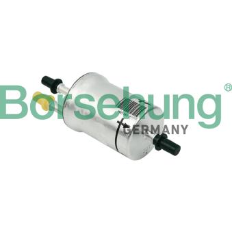 Filtre à carburant Borsehung B12822