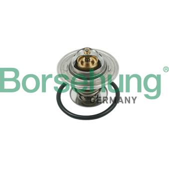 Thermostat, liquide de refroidissement Borsehung B13141