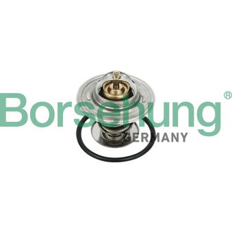 Thermostat, liquide de refroidissement Borsehung