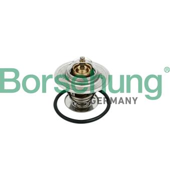 Thermostat, liquide de refroidissement Borsehung