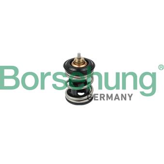 Thermostat, liquide de refroidissement Borsehung B18261