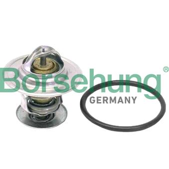 Thermostat, liquide de refroidissement Borsehung B18262