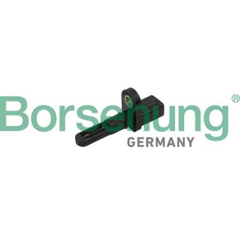 Capteur, température de l'air d'admission Borsehung B18282