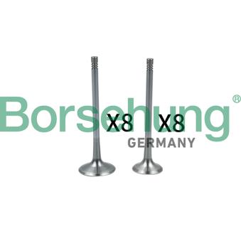 Soupape d'admission Borsehung B18637
