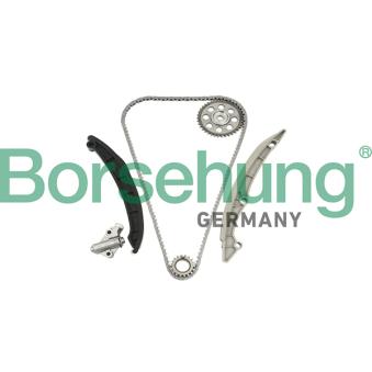 Kit de distribution par chaîne Borsehung B18960