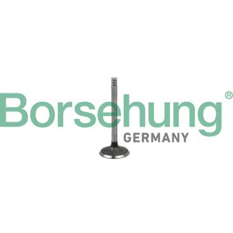 Soupape d'admission Borsehung