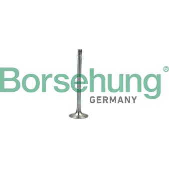Soupape d'émission Borsehung B19007