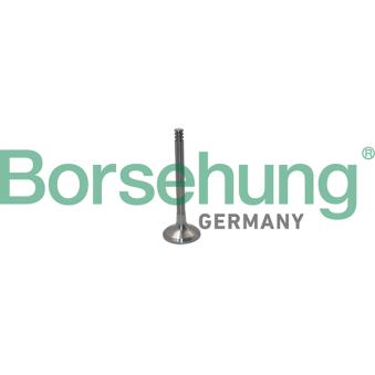 Soupape d'émission Borsehung B19012