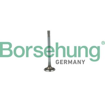 Soupape d'admission Borsehung B19020