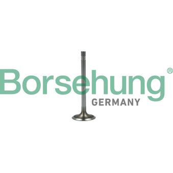Soupape d'admission Borsehung B19022