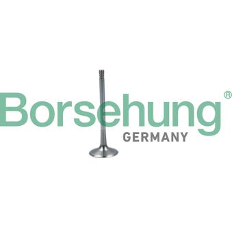 Soupape d'admission Borsehung B19026