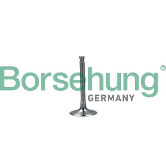 Soupape d'admission Borsehung B19028
