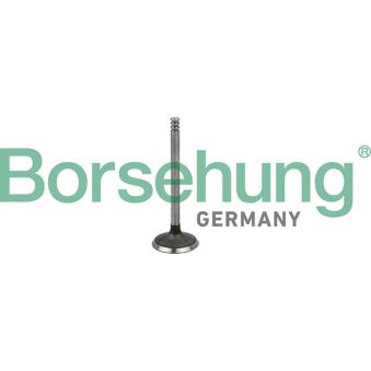 Soupape d'admission Borsehung B19029