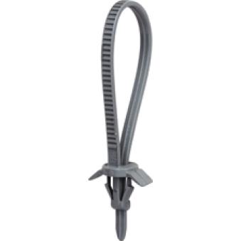 Clip, enjoliveur RESTAGRAF 1495