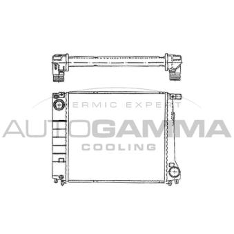 Radiateur, refroidissement du moteur AUTOGAMMA 100097