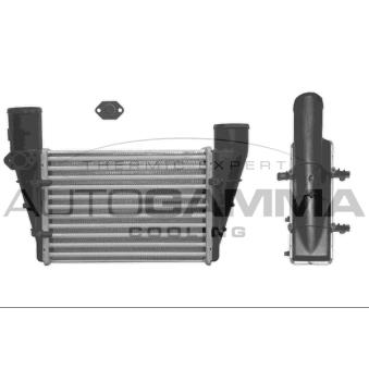 Intercooler, échangeur AUTOGAMMA 101858