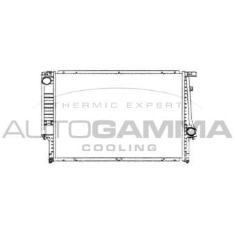 Radiateur, refroidissement du moteur AUTOGAMMA 101982