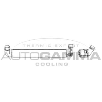 Intercooler, échangeur AUTOGAMMA 105716