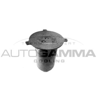Filtre déshydratant, climatisation AUTOGAMMA 106159