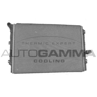 Radiateur, refroidissement du moteur AUTOGAMMA 107760
