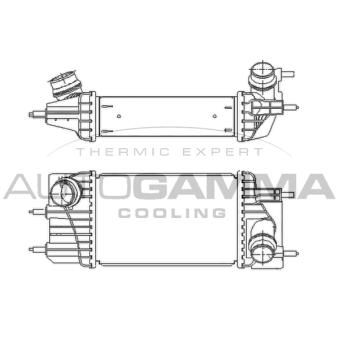 Intercooler, échangeur AUTOGAMMA 110019