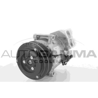 Compresseur, climatisation AUTOGAMMA 118405